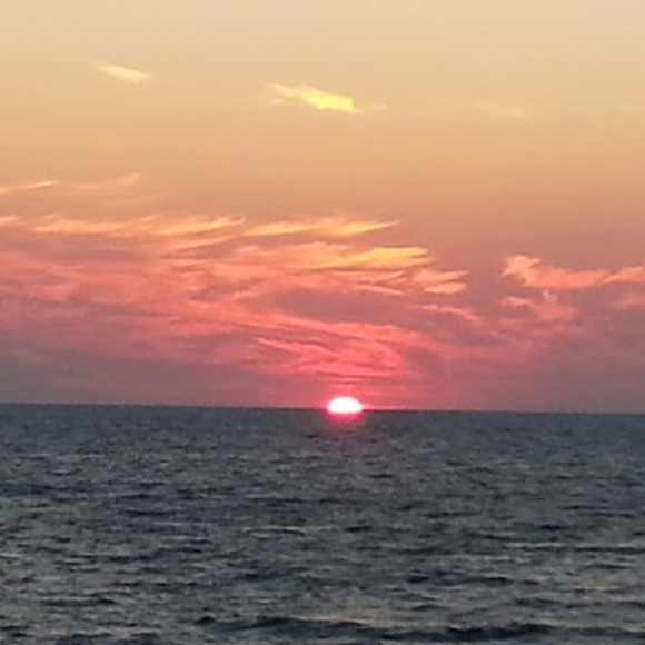 Meet your Posher, Andy - Picture 1 of 1